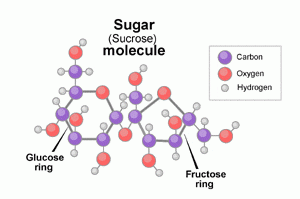 molecule-sucrose
