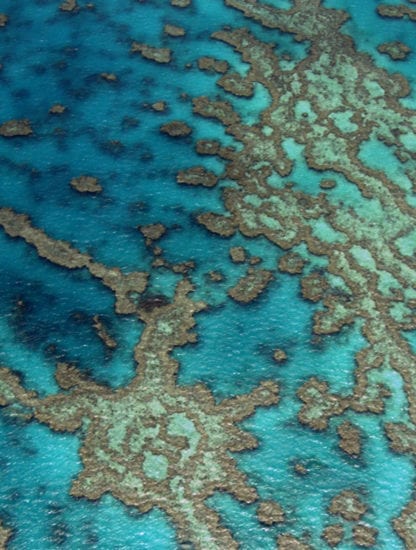 barrière de corail australie ciel photographie yann arthus bertrand home