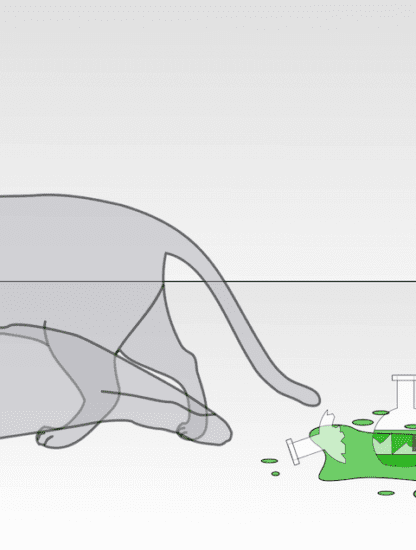 chat schrödinger expérience paradoxe erwin boîte deux boîtes chen wang yale university