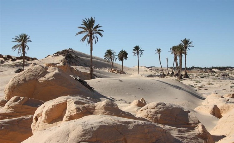 kebili tunisie désert chaleur extreme température