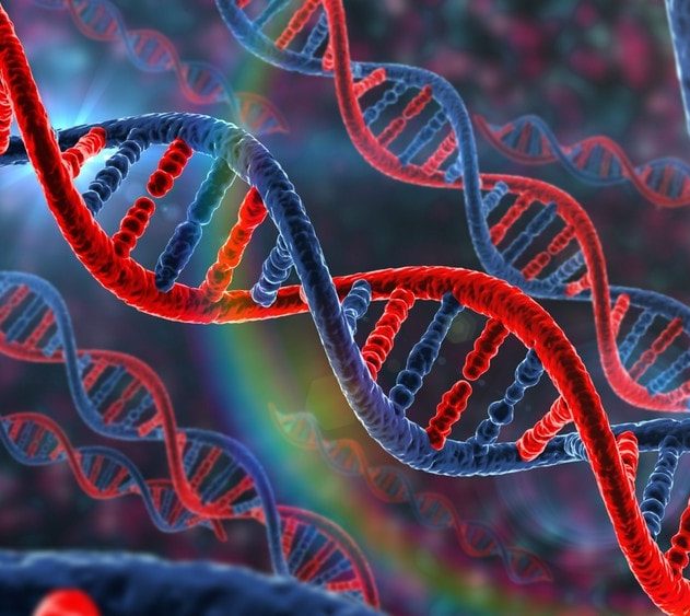 adn gènes modification embryons humains