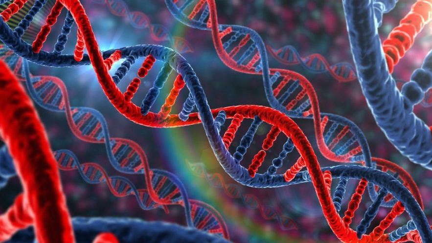 adn gènes modification embryons humains