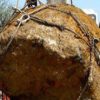 meteorite geante argentine 30 tonnes découverte decouverte