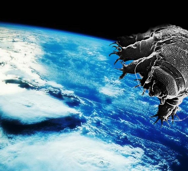 tardigrade organise survie dans l'espace espace