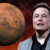 elon musk space x