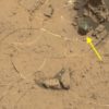 meteorite metallique lisse sur mars