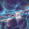 modification genetique crispr cas 9 cancer