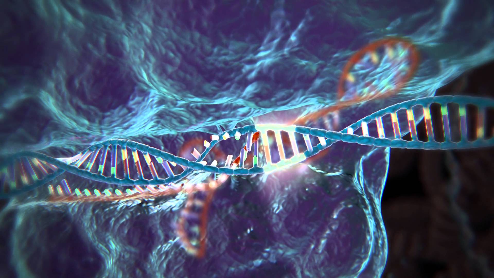 Les techniques d'édition de gènes sont si précises qu'à présent elles permettent de modifier une lettre d'ADN