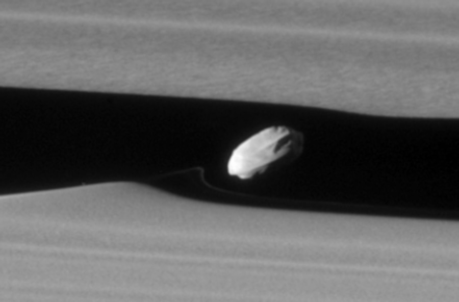 cassini saturne anneau a division keeler daphnis satellite naturel vague