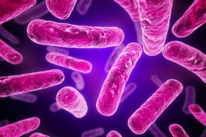 superbactéries résistance antibiotiques