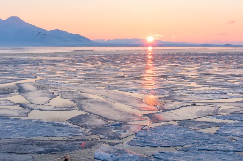 arctique calotte glacière glace geler