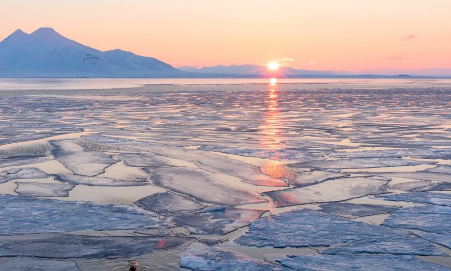 arctique calotte glacière glace geler