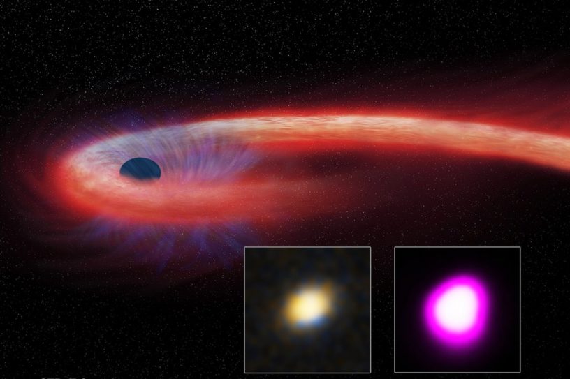 evenement des perturbations des marées trou noir étoile mourrante festion supermassif
