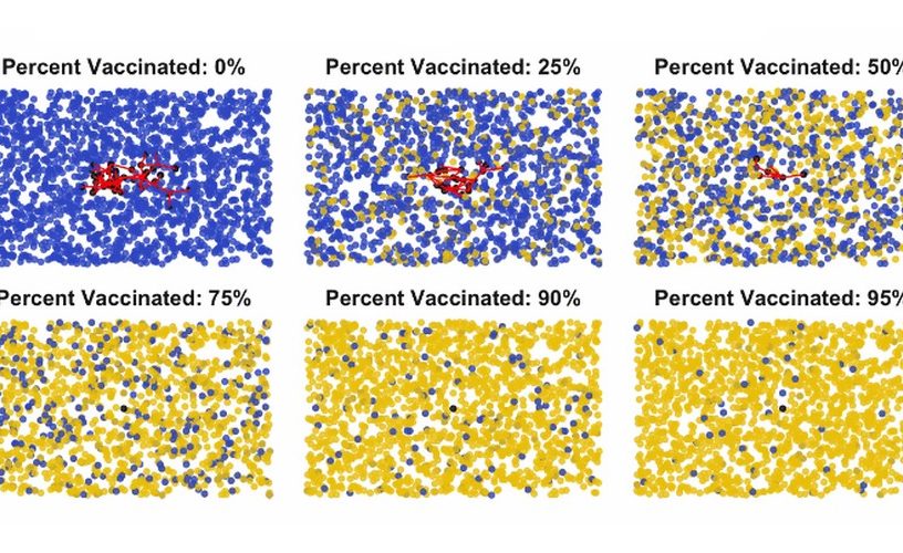 vaccination vaccin immunité gréfaire de communauté