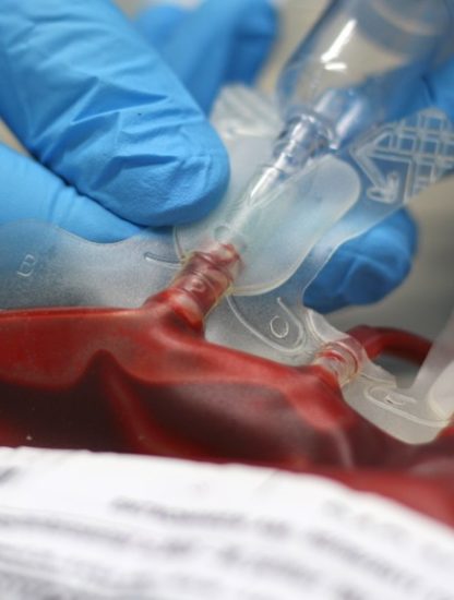 sac de sang artificiel don médecine cellules souches globules rouges