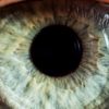 oeil bionique rétine endomagée implant