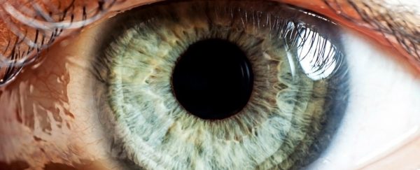 oeil bionique rétine endomagée implant