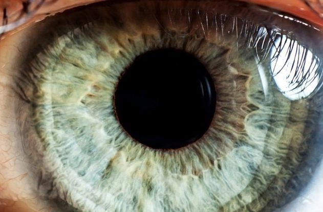 oeil bionique rétine endomagée implant