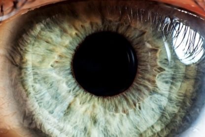 oeil bionique rétine endomagée implant