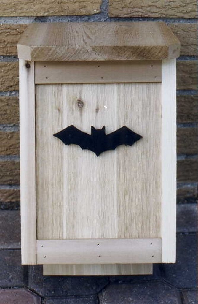 refuge chauve-souris niche construire bat box moustiques