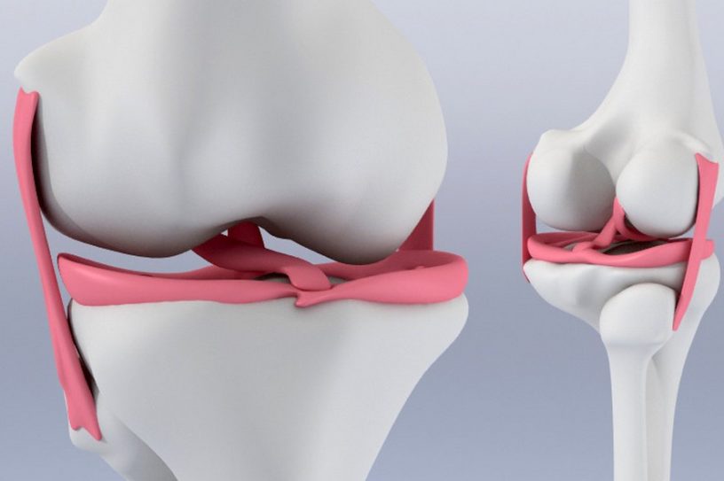 genou menisque cartilage hydrogel