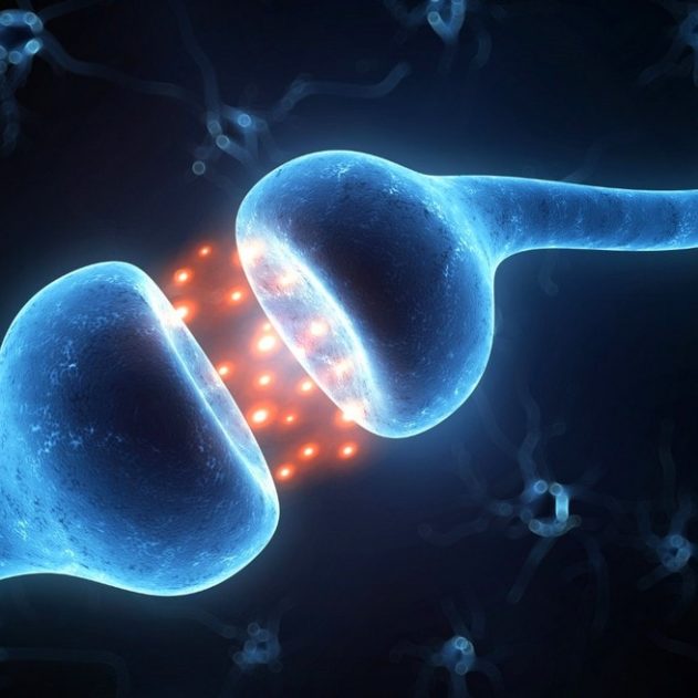 synapse electronique memristor cerveau intelligence artificielle IA