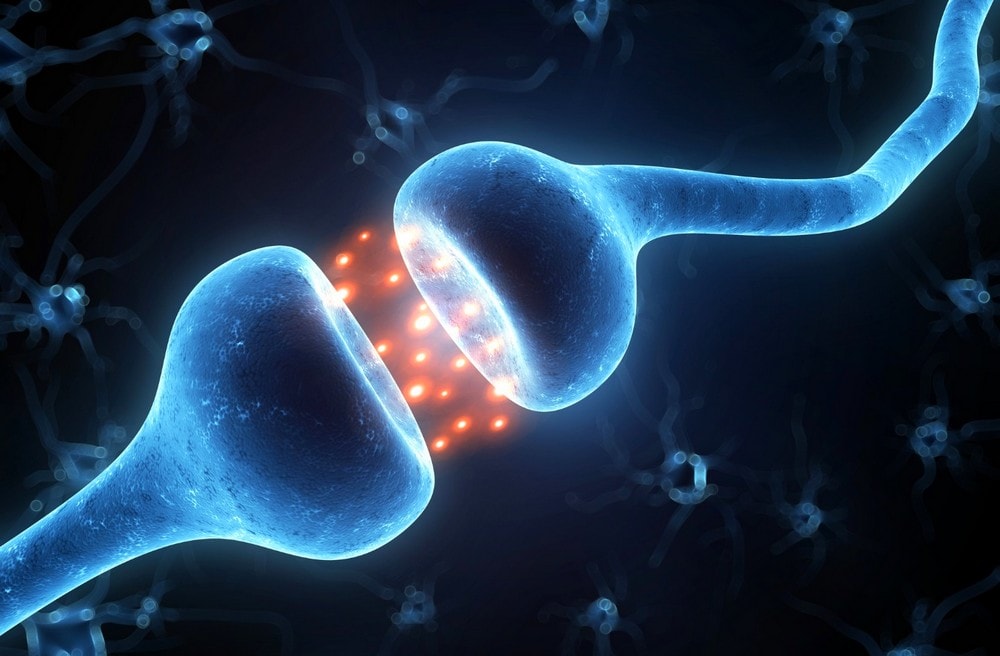 synapse electronique memristor cerveau intelligence artificielle IA