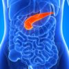 pancreas artificiel diabete soigner insuline cellules ilots