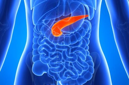pancreas artificiel diabete soigner insuline cellules ilots