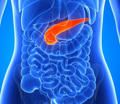 pancreas artificiel diabete soigner insuline cellules ilots