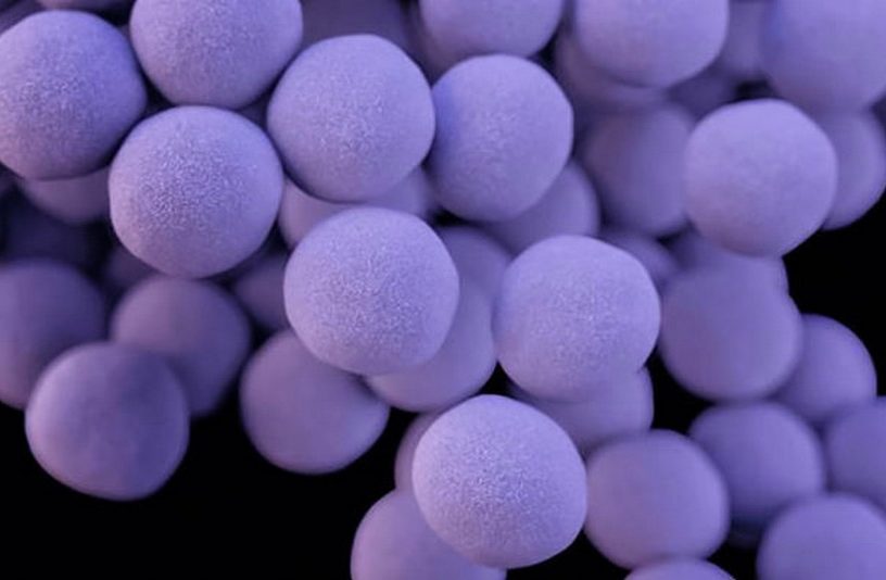 antibiotiques résistance bactéries super-antibiotiques