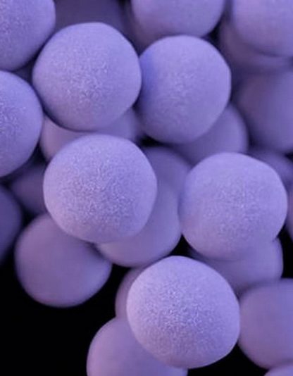 antibiotiques résistance bactéries super-antibiotiques