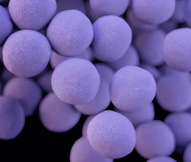 antibiotiques résistance bactéries super-antibiotiques