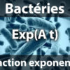 bacteries fonction exponentielle speed bbt
