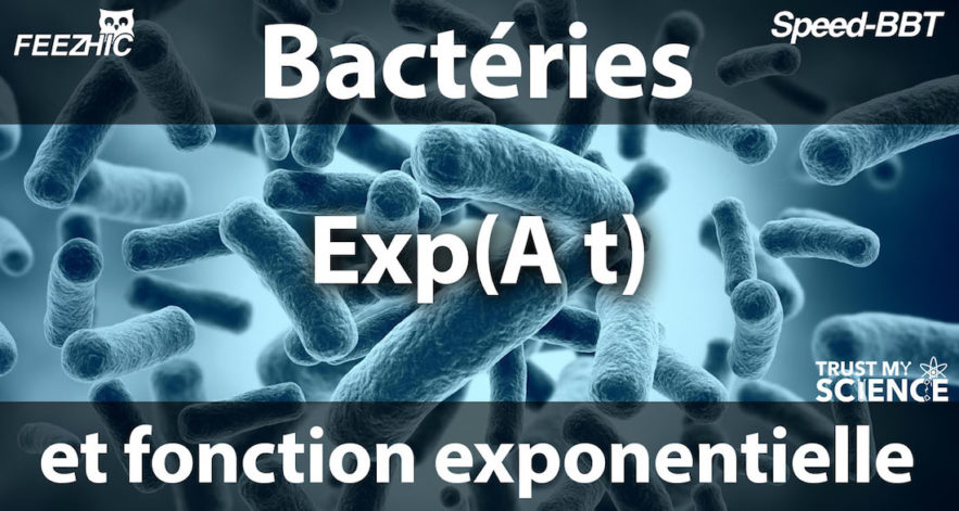 bacteries fonction exponentielle speed bbt