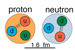 disposition quarks proton neutron