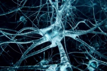 neurone cerveau structure atomique protéine tau maladie neurodegenerative alzheimer