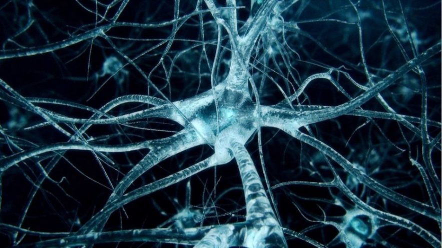neurone cerveau structure atomique protéine tau maladie neurodegenerative alzheimer