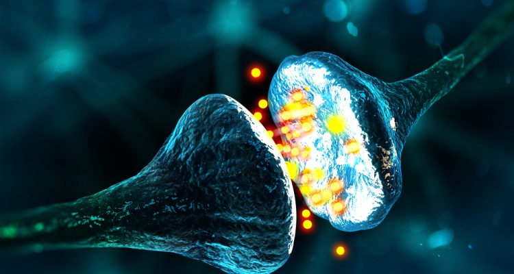 Comment les scientifiques utilisent le carbone datant
