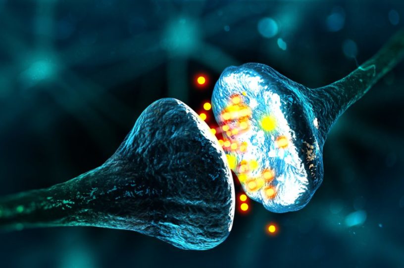 réseau neuronal neurone synapse connexion tube nanotube carbone