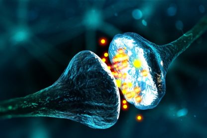 réseau neuronal neurone synapse connexion tube nanotube carbone