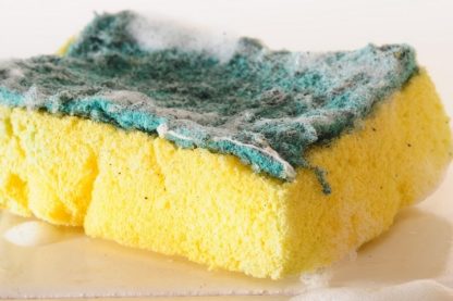 eponge sale cuisine vaisselle évier bactérie microbes