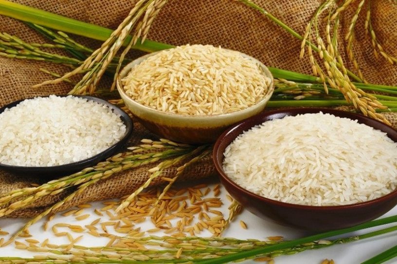 riz technique de cuisson féculents amidon calories