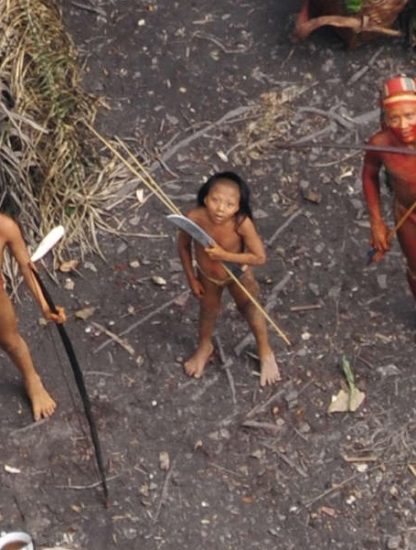 tribu amazonienne brésil brulé massacre mineur illégaux chercheurs or
