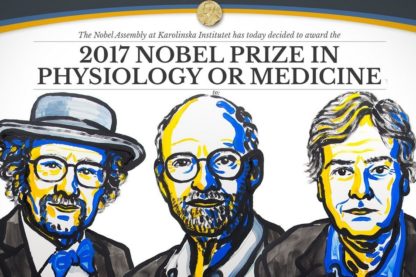 prix nobel medecine 2017 americain horloge biologique