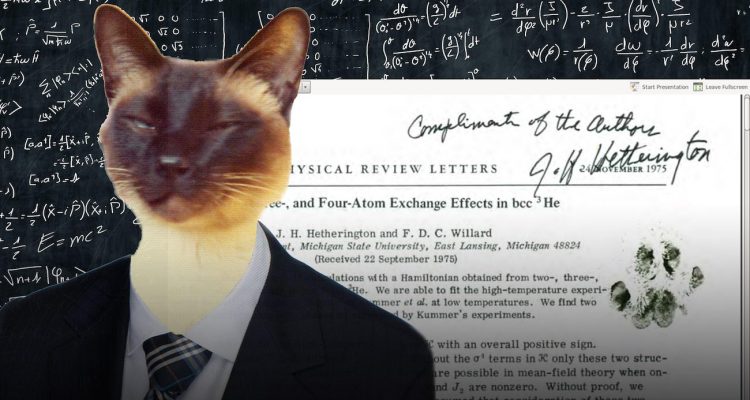 Sites de chat datant sans inscription