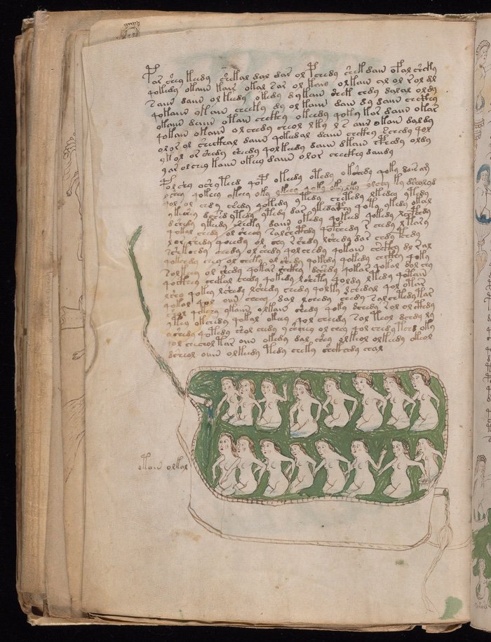 manuscrit voynich découverte ia intelligence artificielle décryptage