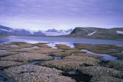 permafrost pergélisol fonte glace glaciers environnement planète réchauffement climat