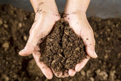 terre sol bactéries super résistance médicaments antibiotiques gène calcium