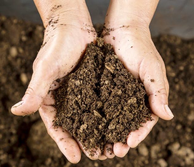 terre sol bactéries super résistance médicaments antibiotiques gène calcium